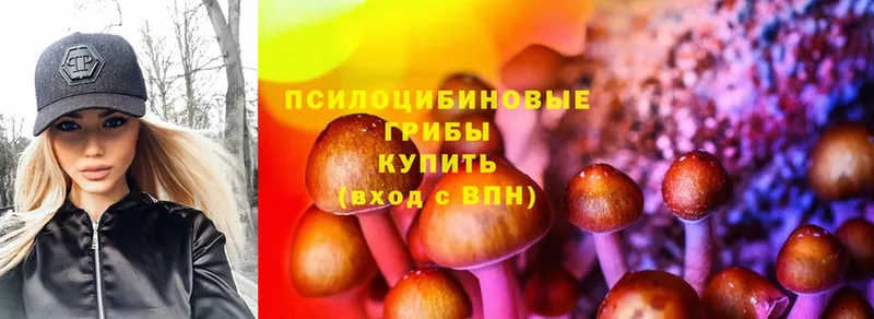 что такое наркотик  Железноводск  Псилоцибиновые грибы Cubensis 